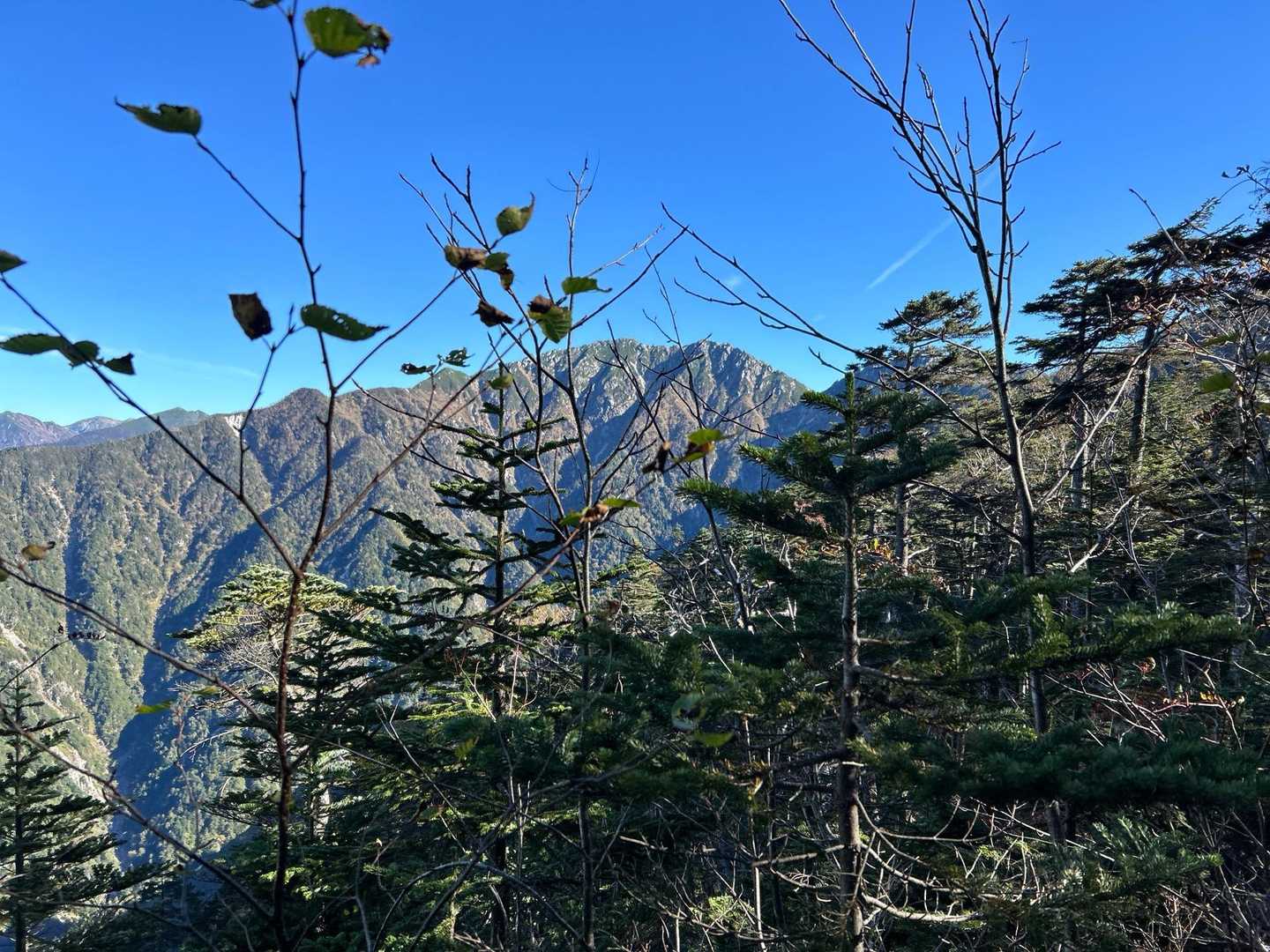 いい天気だなあ
きっと頂上からの景色は間違いない