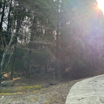 登山口はココを左