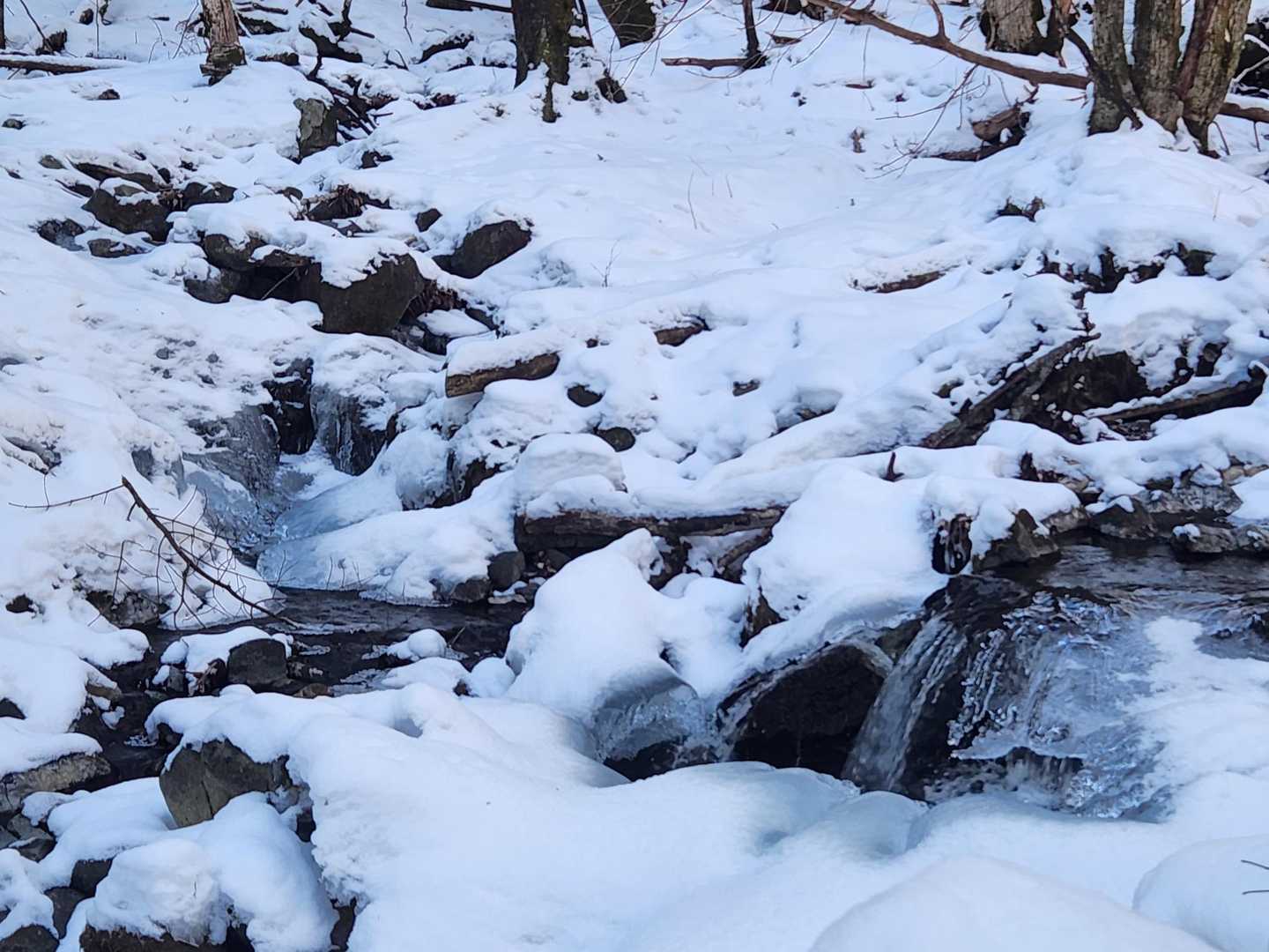 氷が綺麗