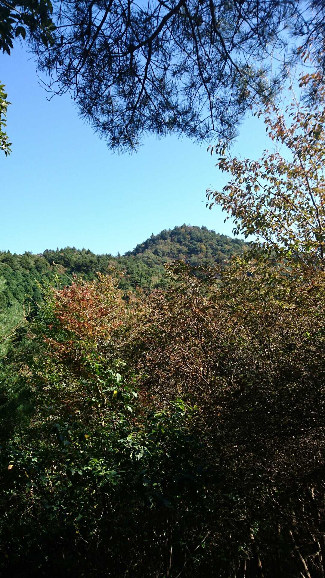 松尾山（高仙寺山）の写真