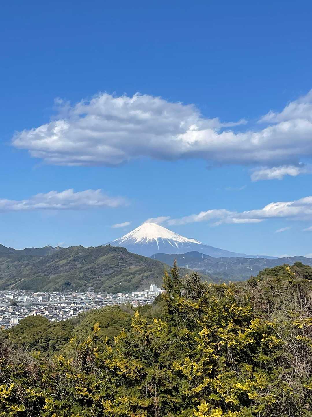 谷津山 周回コースの写真