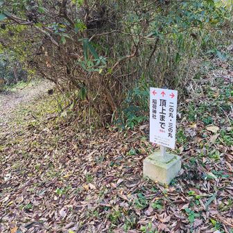 稲荷神社⛩️方面へ下ります。