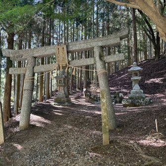 お馴染みの鳥居