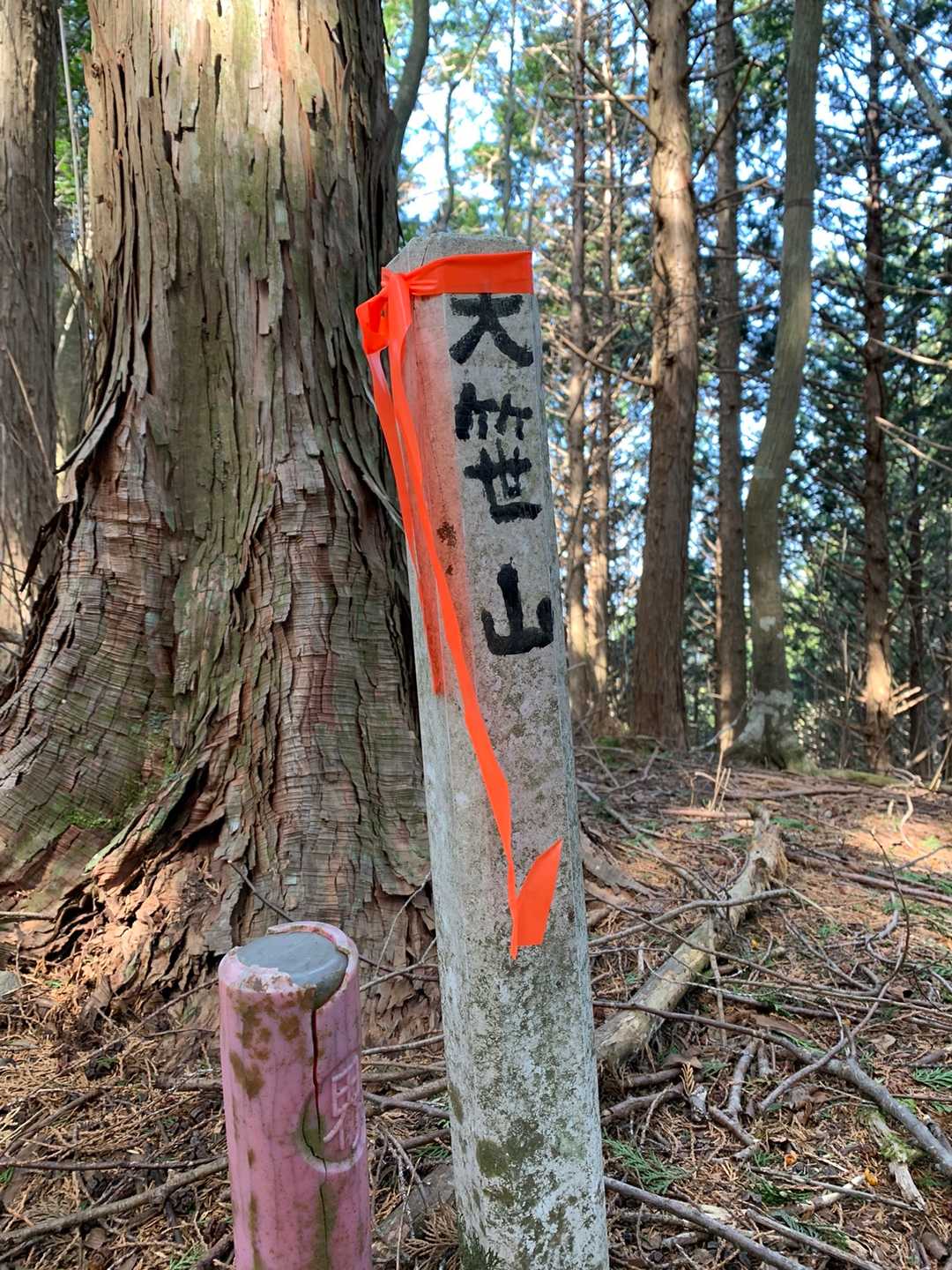 山頂です！　展望と山頂プレートはありません