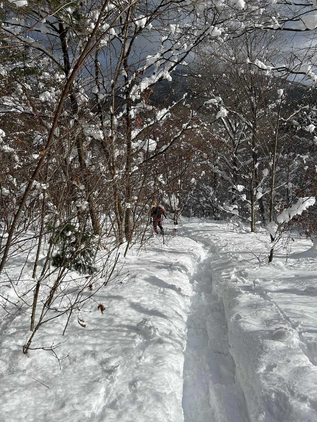 妙見山 周回コースの写真