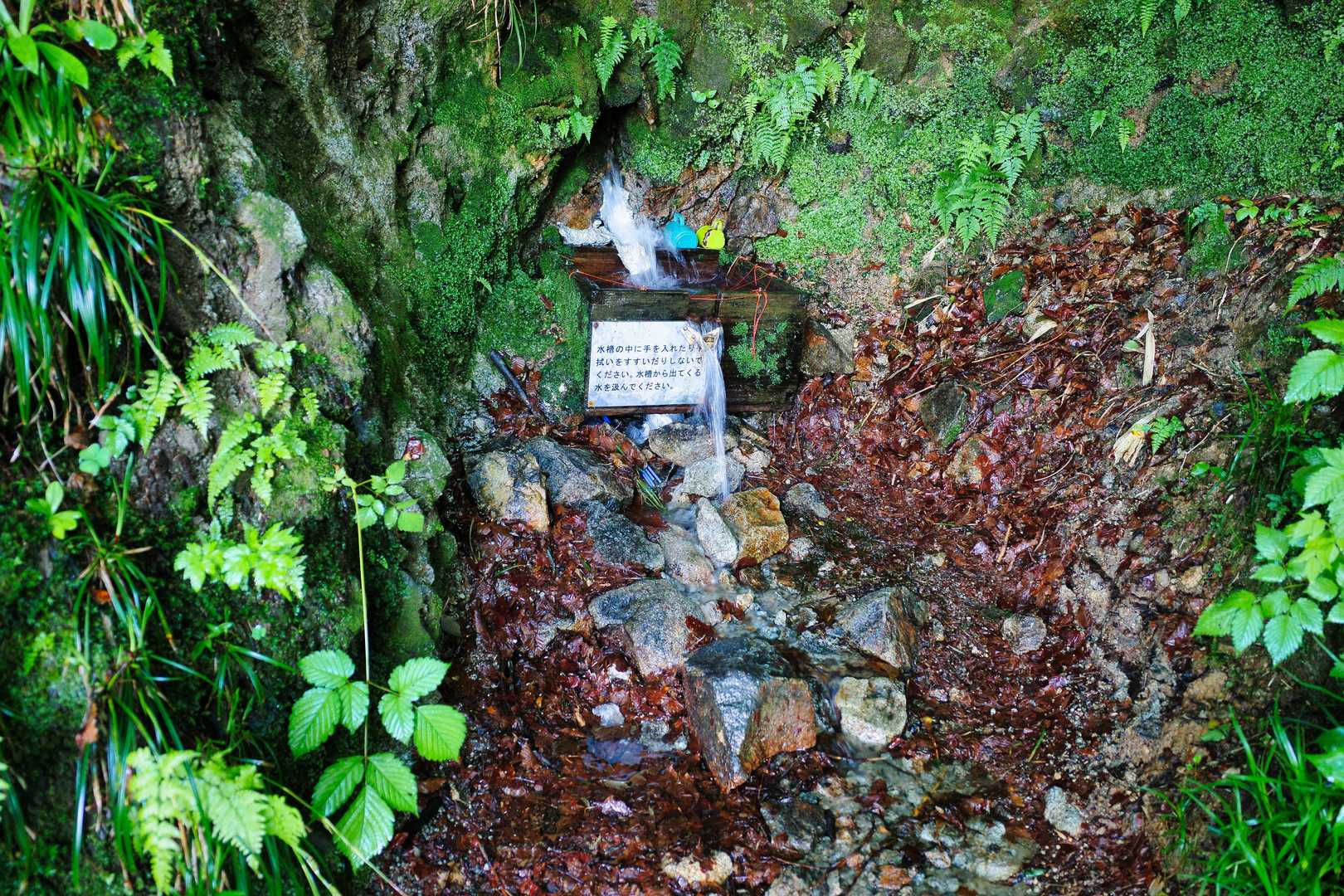 豊富な水量。給水しました。