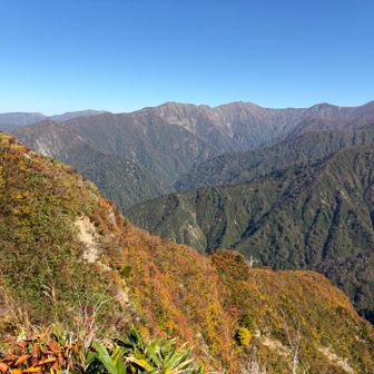 色鮮やかな紅葉が斜面に見惚れてなかなか脚が進みません