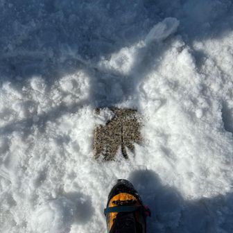 三角点掘り起こす△