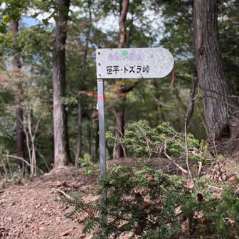 笹平に寄ります