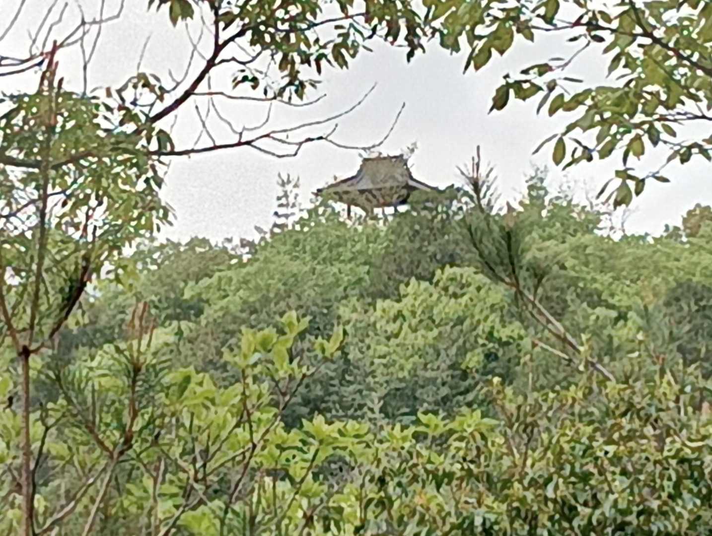 城ヶ根山山頂の展望台が👍