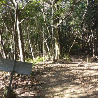 市境稜線で御所峠にも行けそう