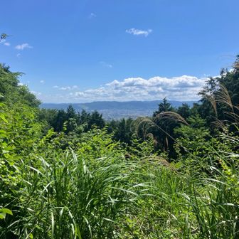 若草山が見える