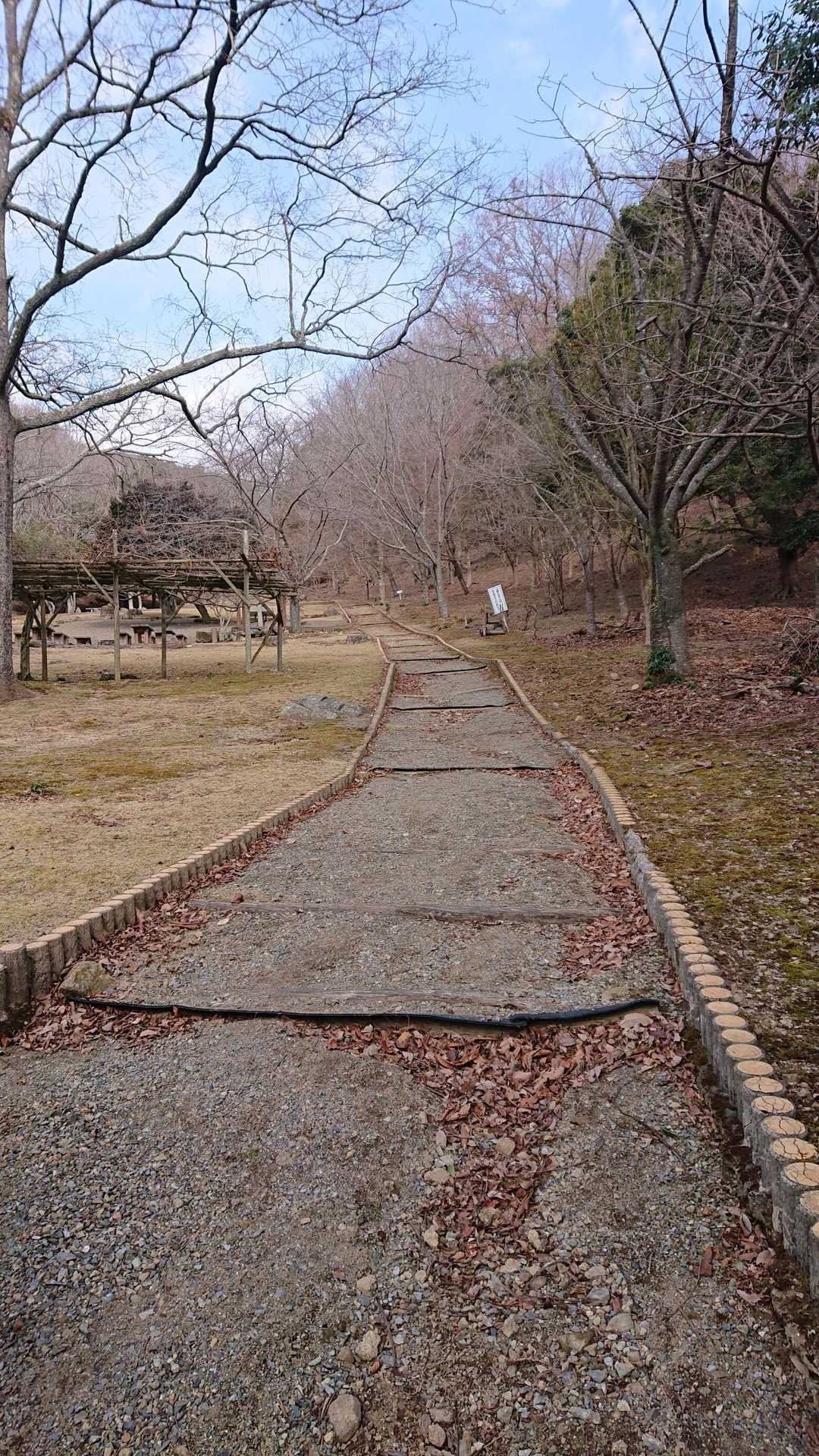 大倉山 周回コースの写真