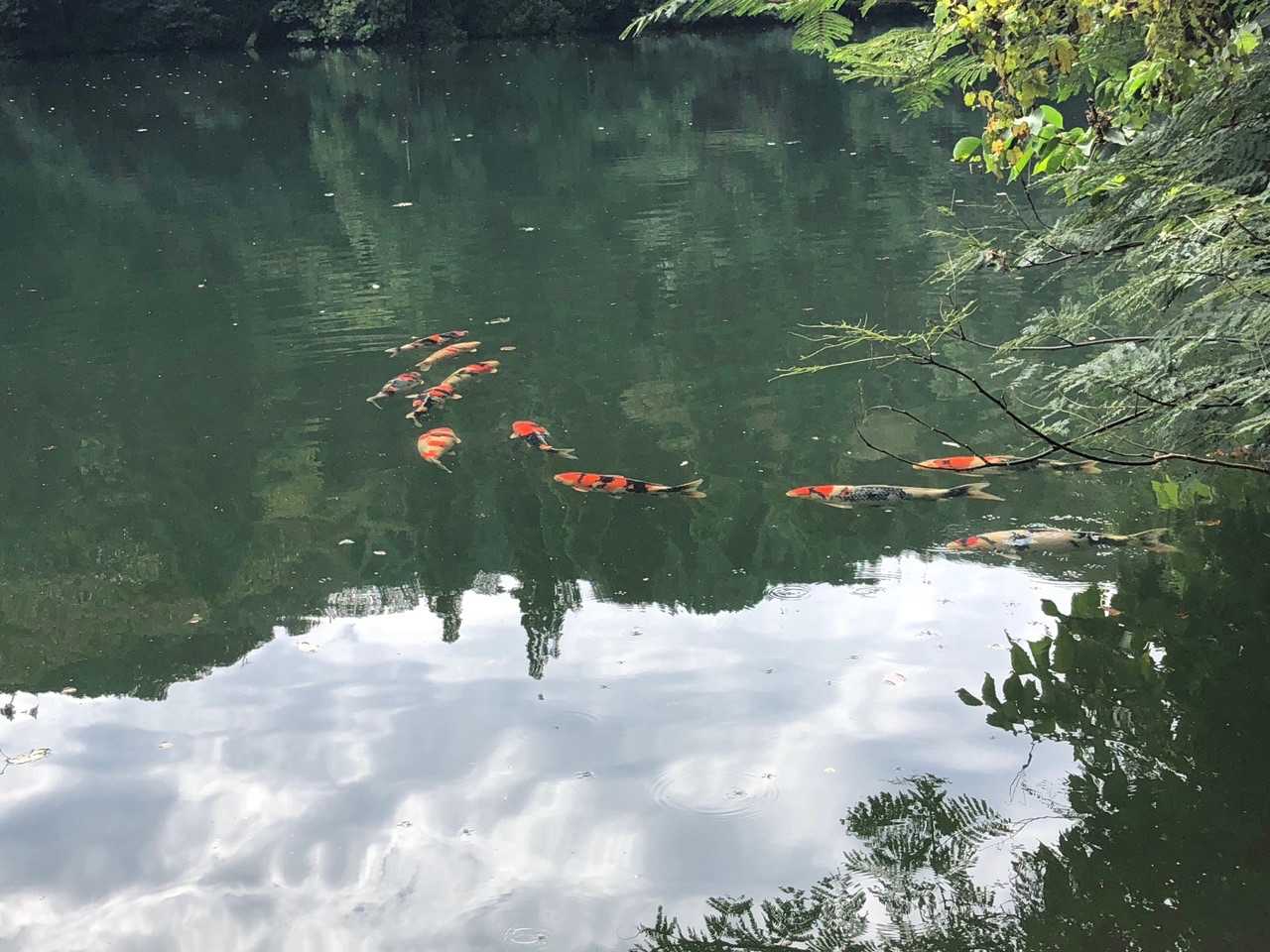 三床山 往復コースの写真