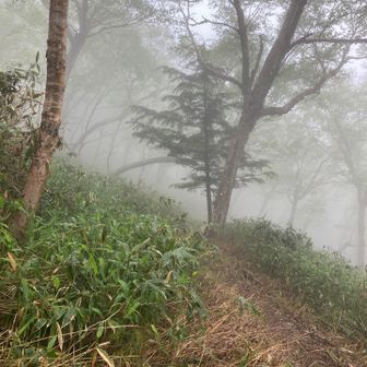 この後雨が強くなる