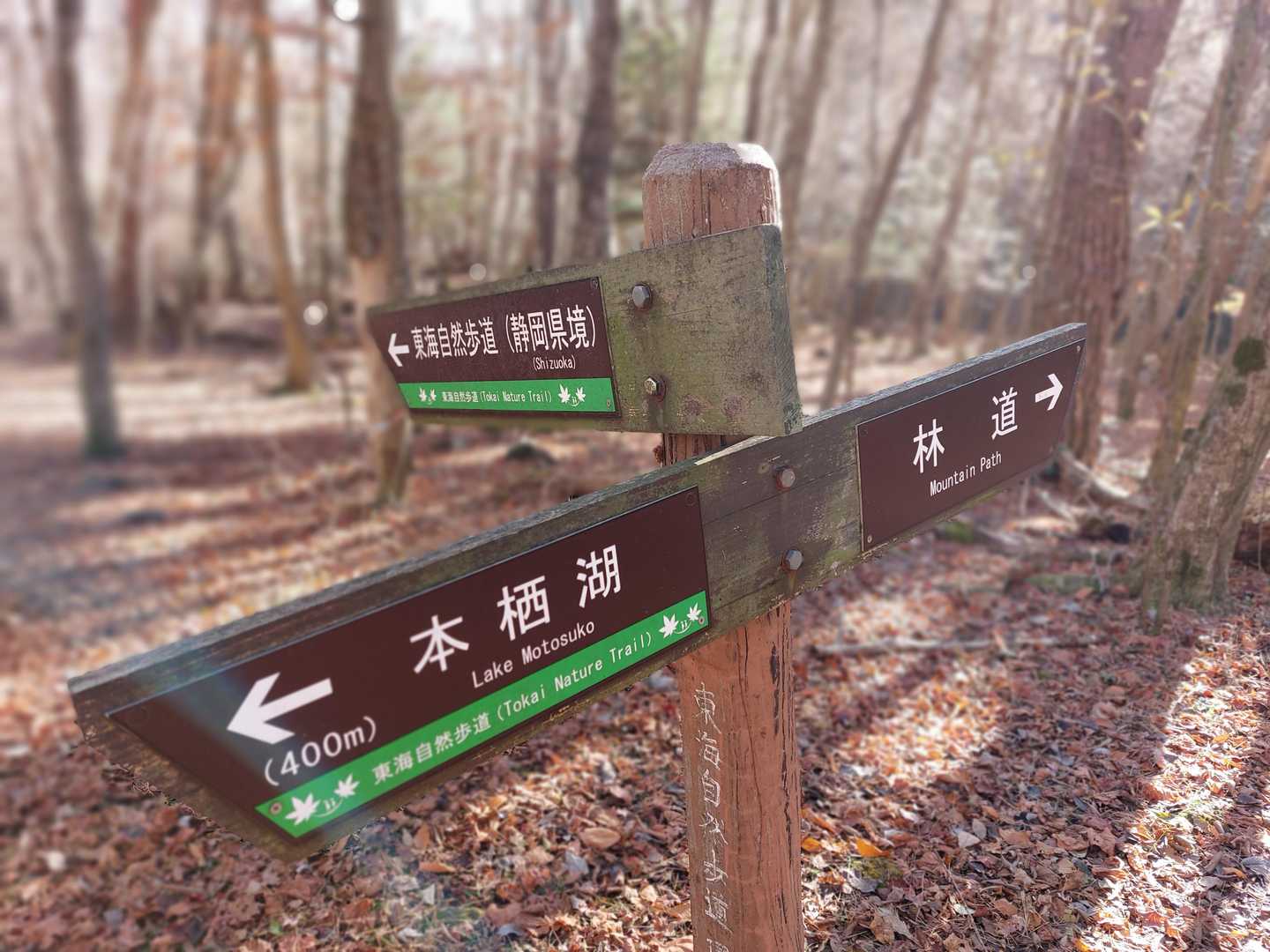 本栖湖キャンプ場-竜ヶ岳 周回コースの写真