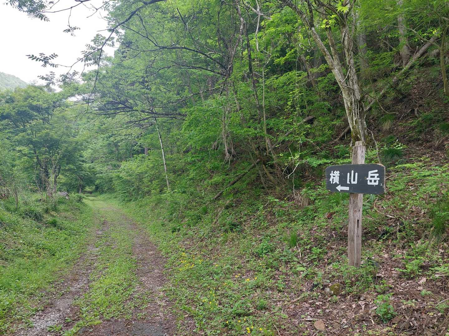 登山口ここでした😆
しばらく林道歩きなのですね
前日に急遽ここに来ること決めたから全然調べてなくて、めちゃ焦りました💦
登山口を教えていただき感謝です🙏