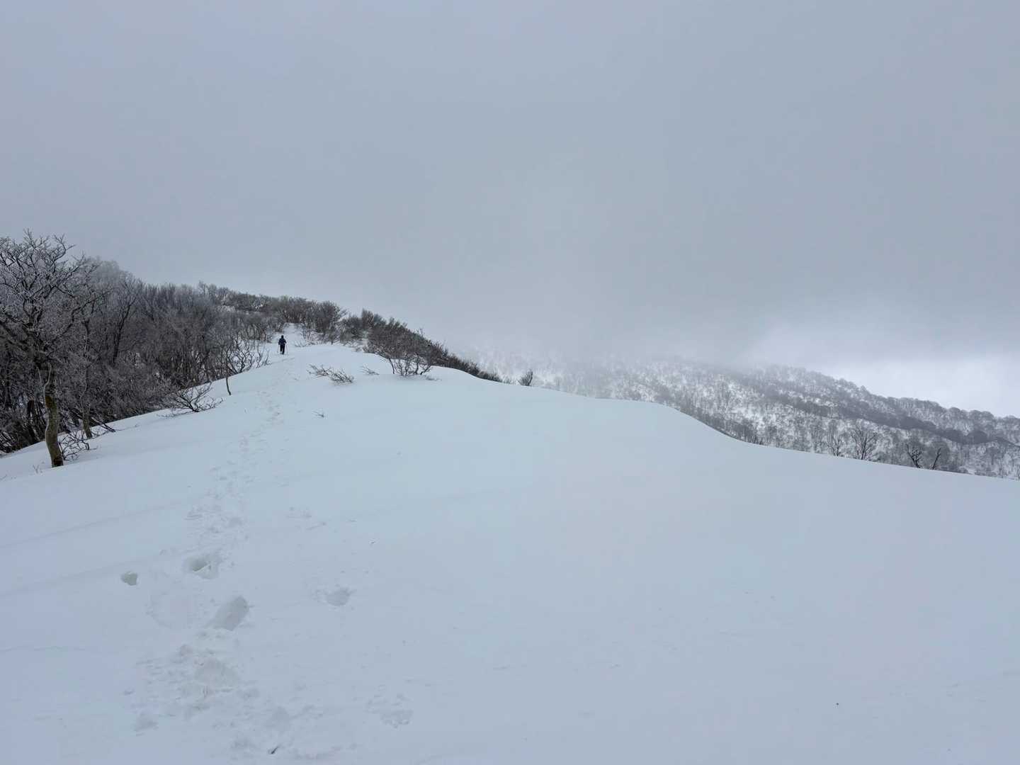 前は真っ平らな新雪
気持ちいい稜線歩き
