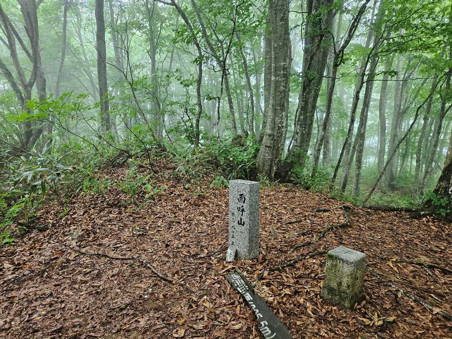 登って
あまよばりやまの由来知りました。