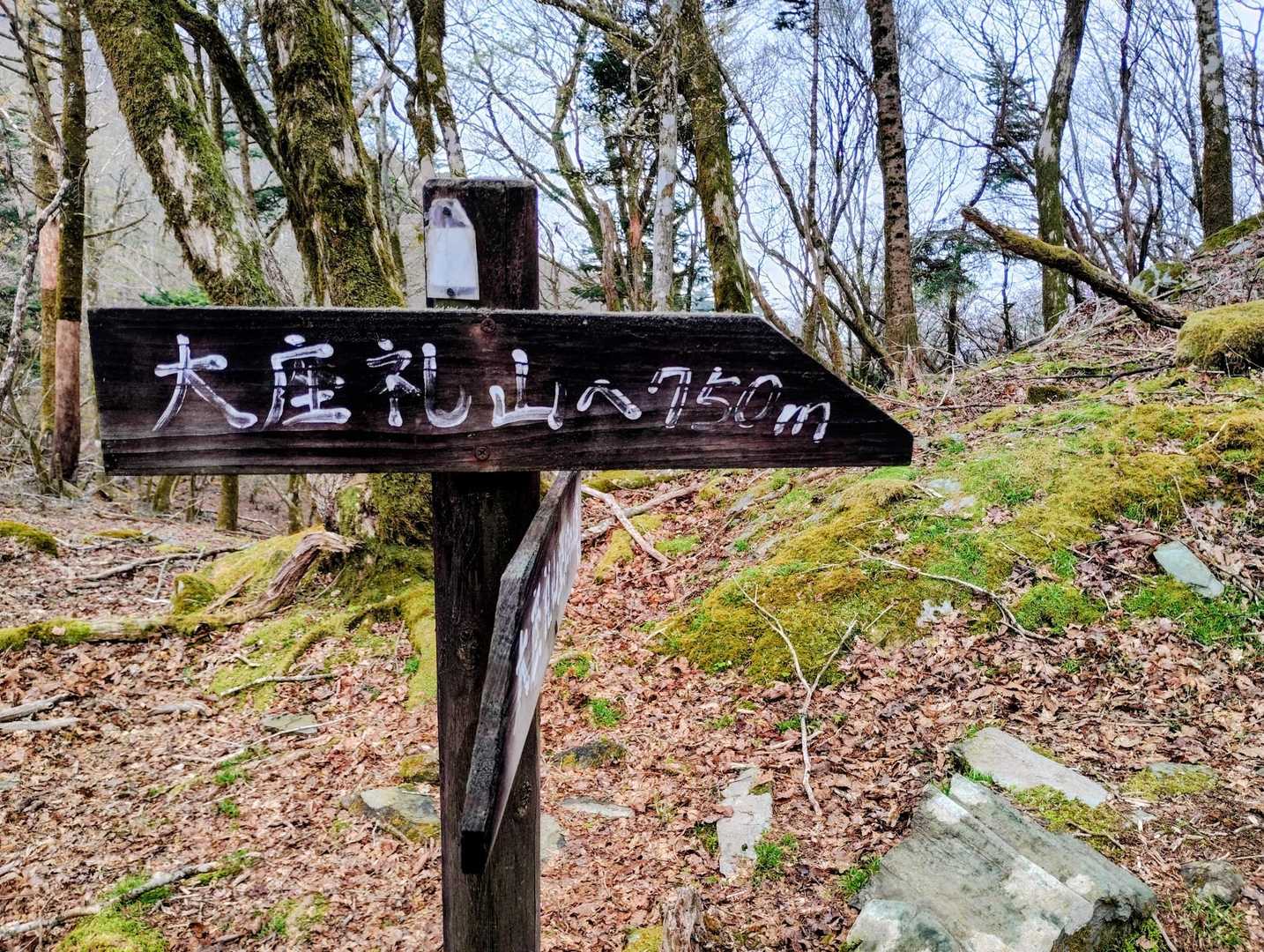 頑張ります💪
