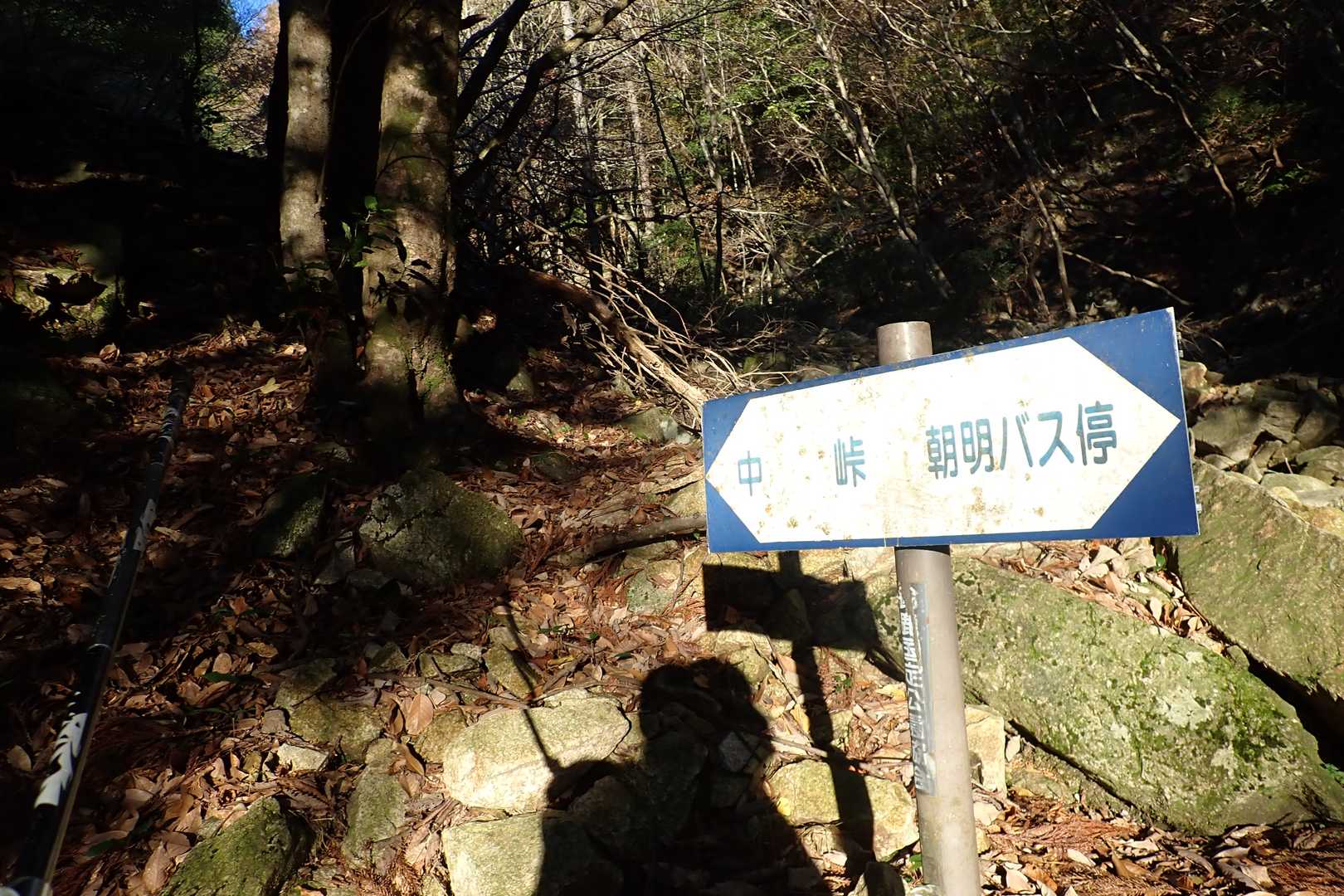 朝明登山口-中峠-高岩-ワサビ峠-クラシ-イブネ-杉峠ノ頭 周回コースの写真