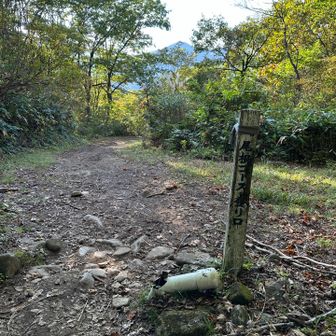 無事下山
久々の長時間コースだったので、結構脚にきました💥筋力つけねば🦵🏼