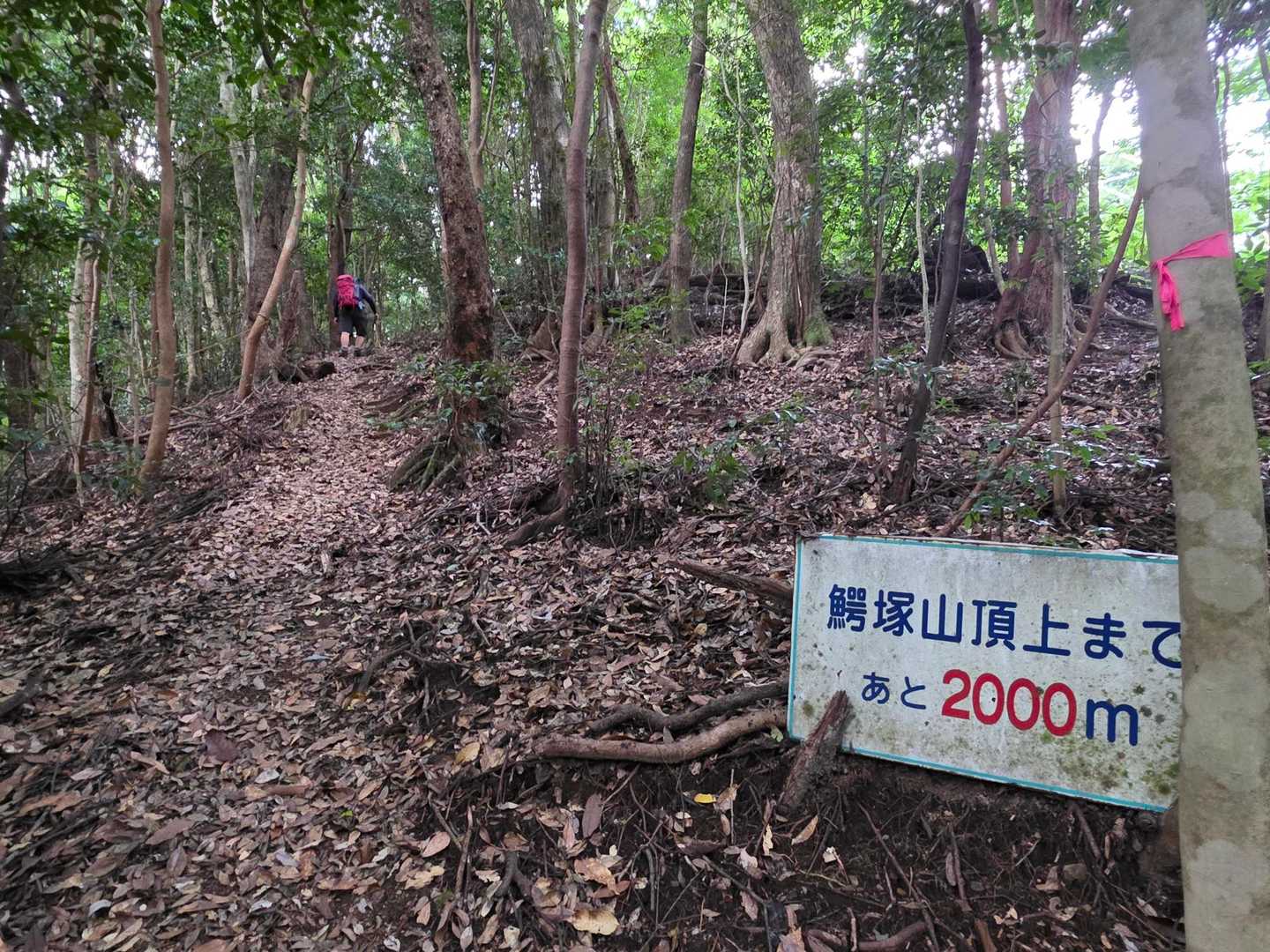 山頂まで、あと2000m。汗だく🥵