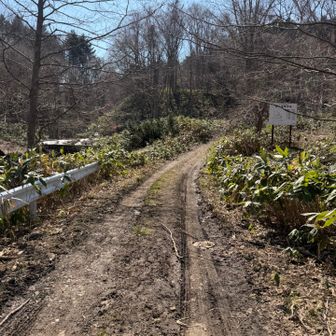 さぁ、もうひと山。