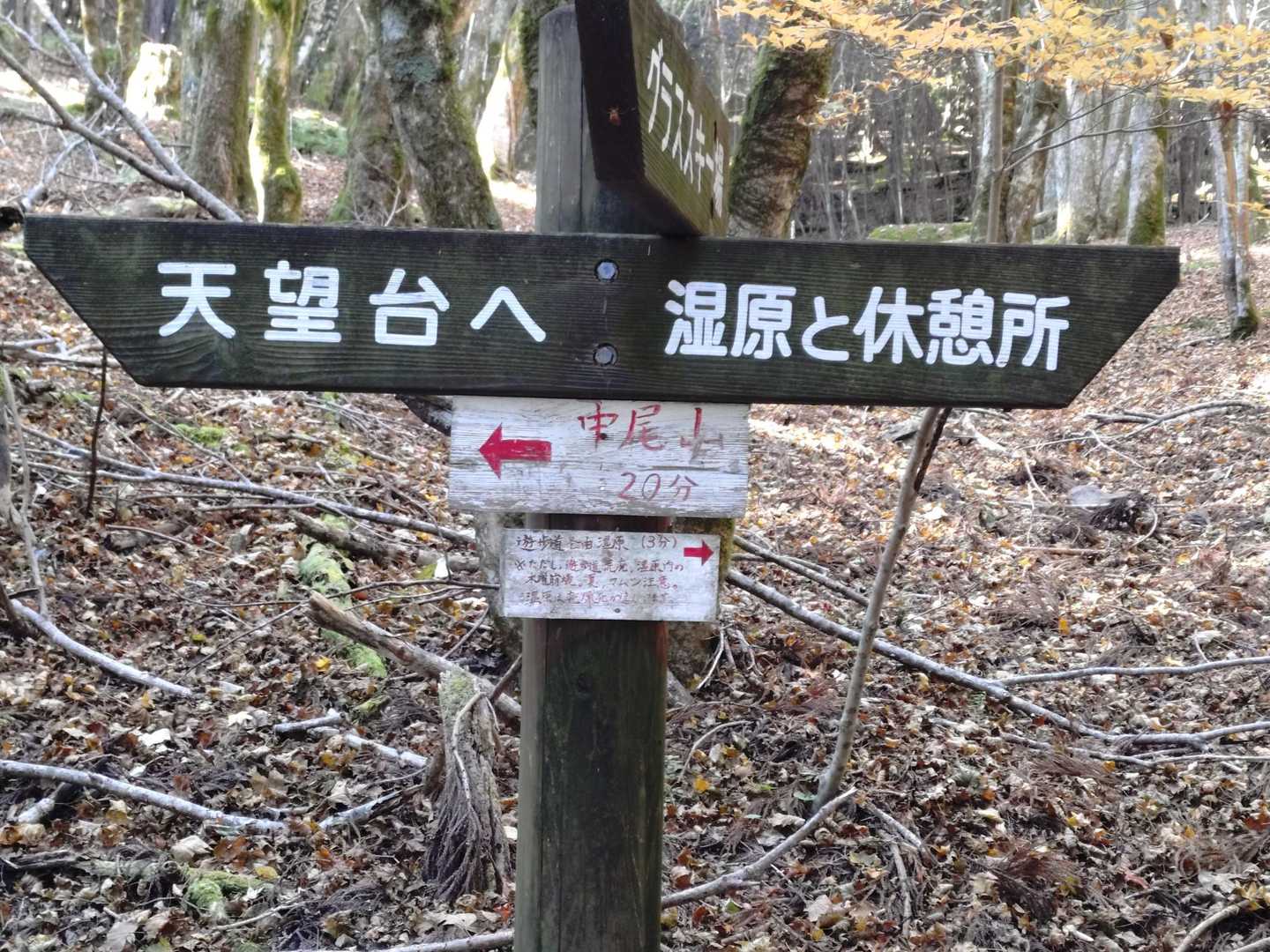 湿原まで徒歩3分みたいなので
行ってみた