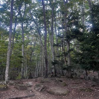 登山口
富士見平小屋までは瑞牆山と同じルート。

瑞牆と金峰、どっちに向かう人が多いのかな？
(答え. おそらく圧倒的に瑞牆山。もしくは金峰に向かう人はもう少し早い時間に出ていたか)