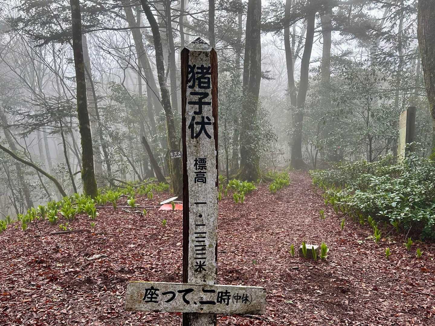 最初のピーク⛰️猪子伏(いのこぶし)1233m🙌