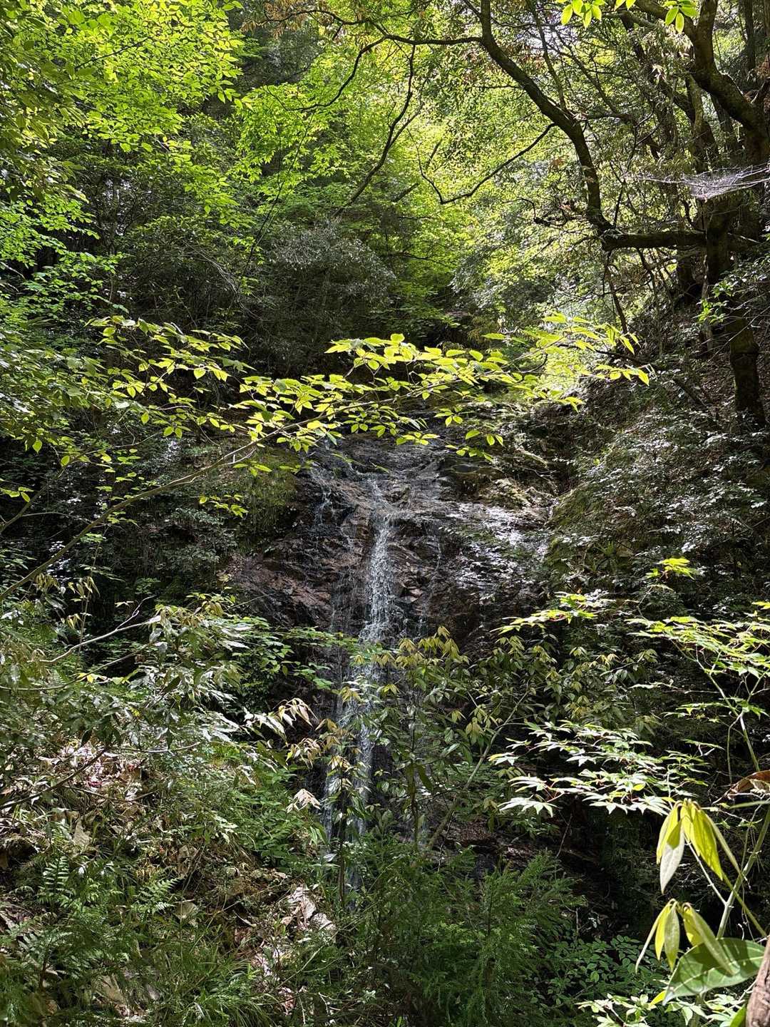 天上山登山口-天上山 往復コースの写真