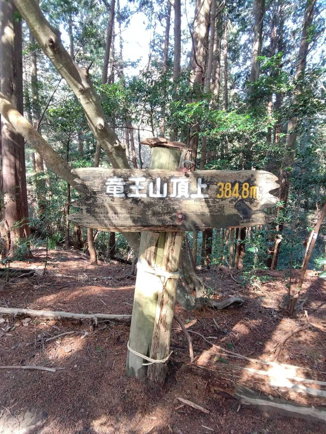 竜王山頂上