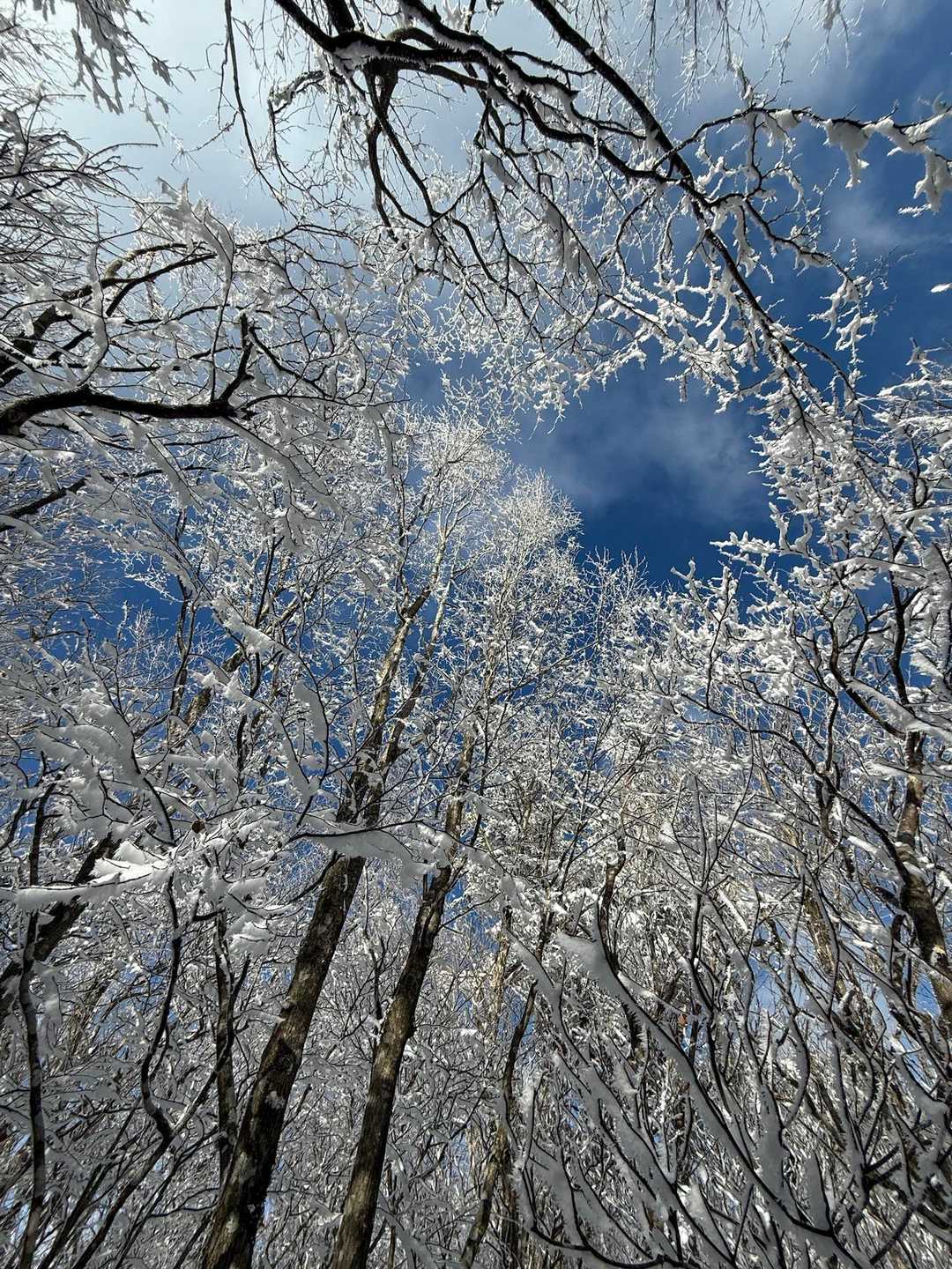 ついつい同じところで同じ写真撮り