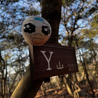 Y山
冒険したい方にはおすすめ
この後、一旦下山し海鮮牡蠣GOROさんへ
予約は13時でお願いしてたけど、間に合わず💦