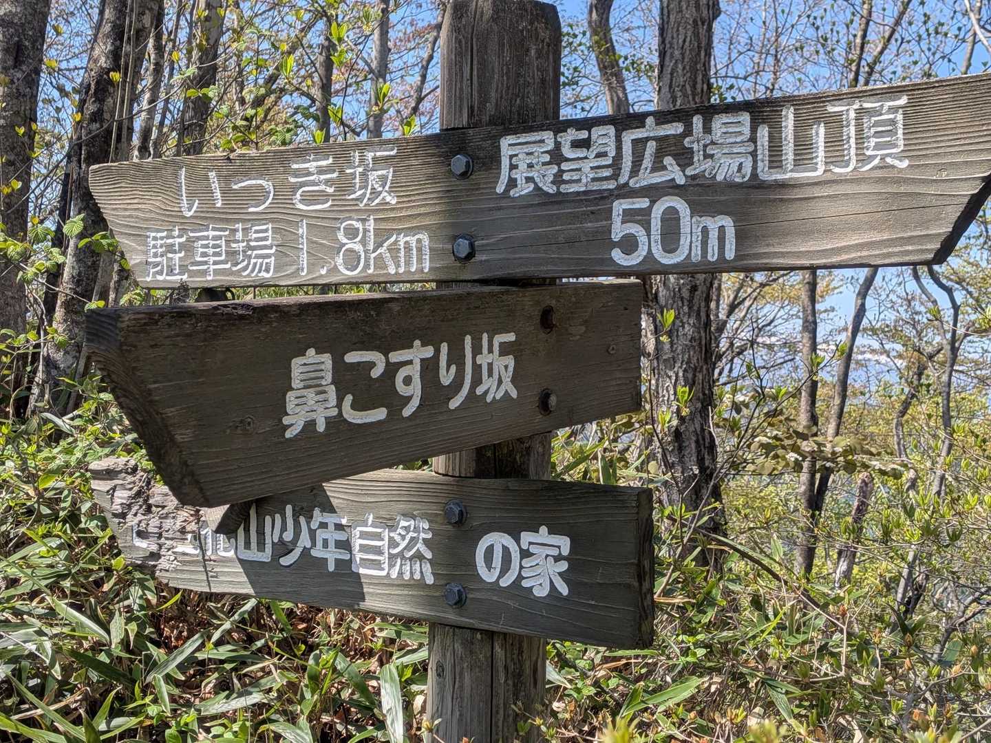 大土ヶ森 往復コースの写真