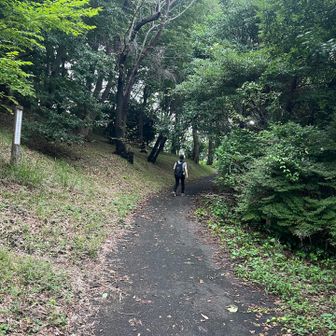 今日はありがとうございましたー
私も座間のピーク近々探しに行きまーす👋