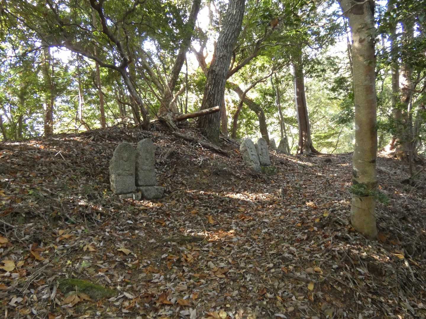 展望台は後にして、先に山頂を目指します。