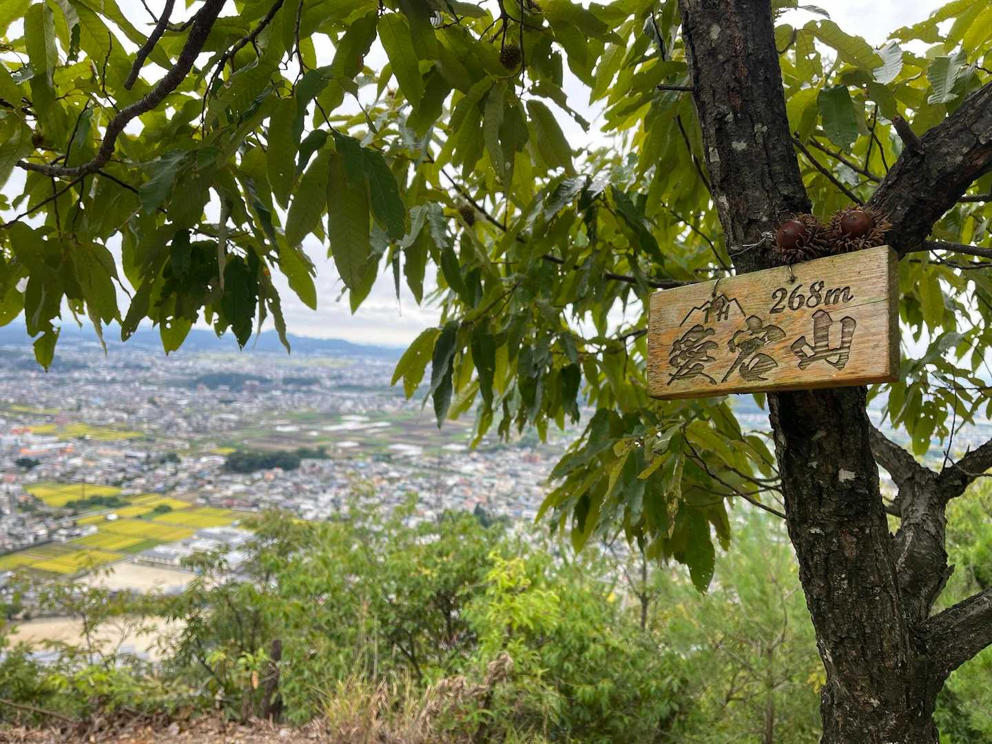 山頂看板