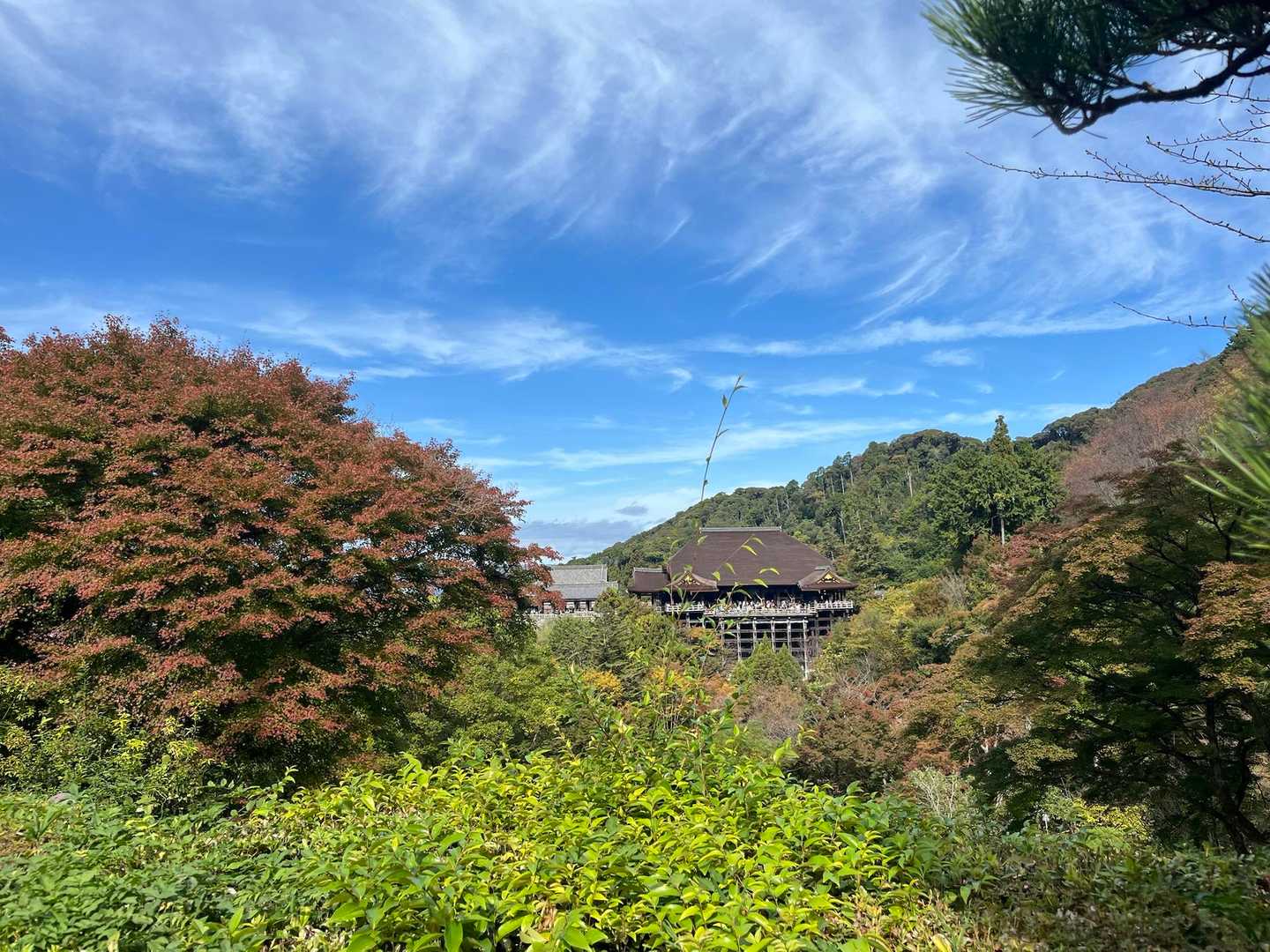 阿弥陀ヶ峠-京都一周トレイル東山17番登山口-清閑寺山-東 縦走コースの写真