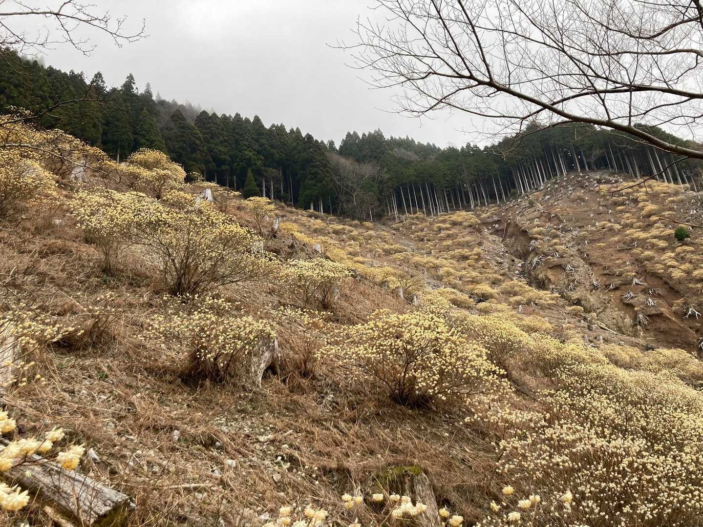 別府峡登山口-石立山-日和田登山口 縦走コースの写真