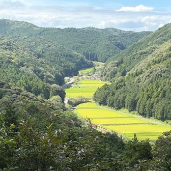 水晶山への途中のまさみ台から望む鳥川の街