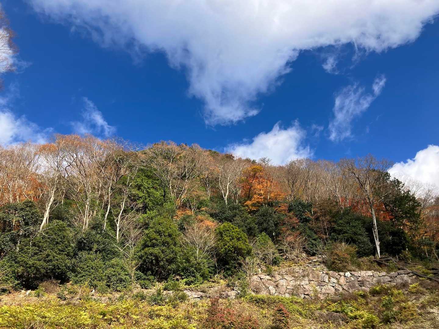 小萩登山口-獅子ヶ岳-七洞岳-一之瀬西登山口 周回コースの写真
