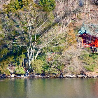 九頭龍神社⛩️
本当はちゃんとお金払って九頭龍の森に入って見ないといけないと思うんだけど、、🙏🏻