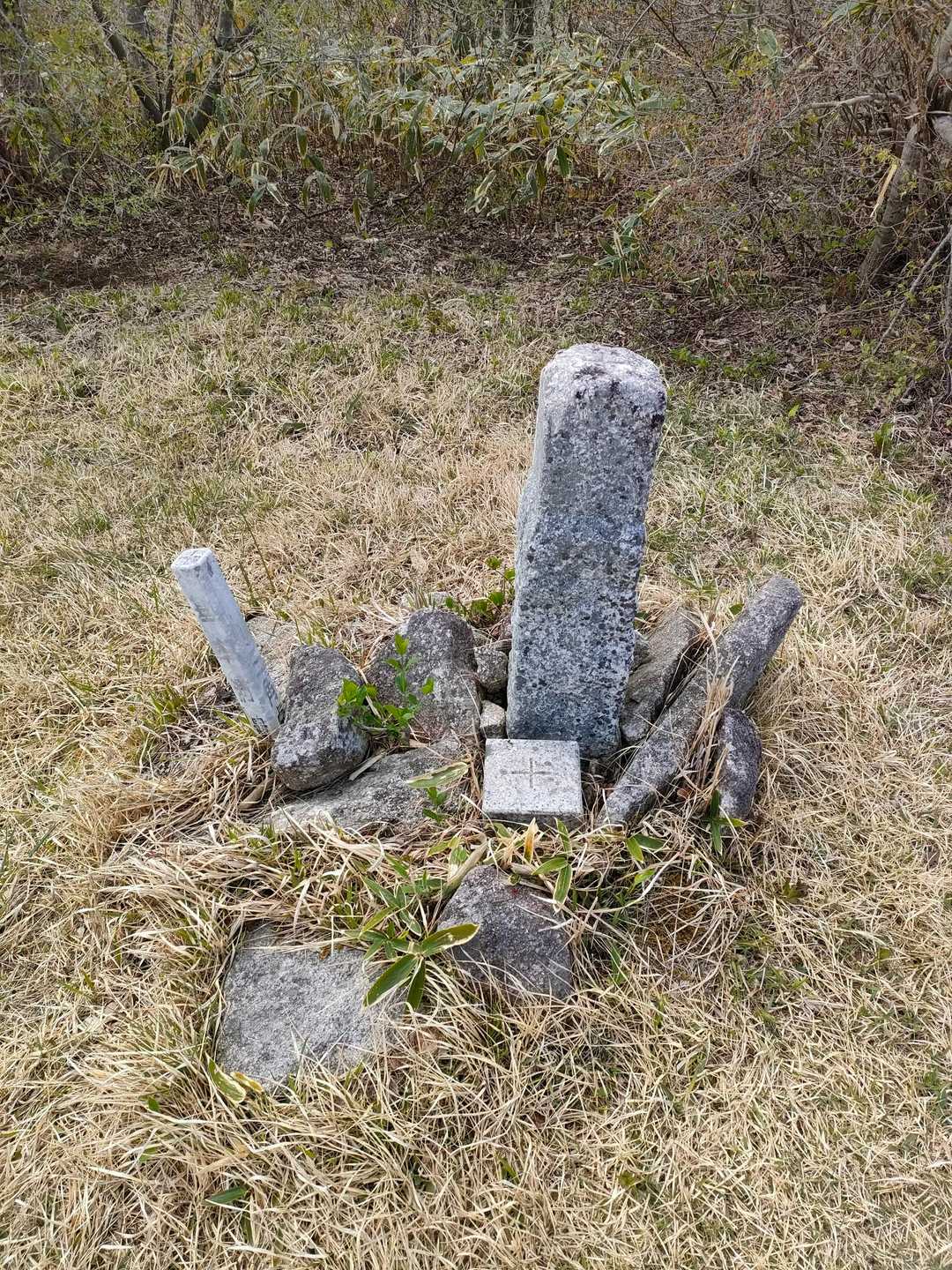 西ノ内登山口-五十人山 往復コースの写真