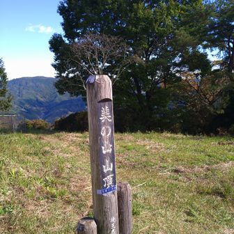 美の山　山頂