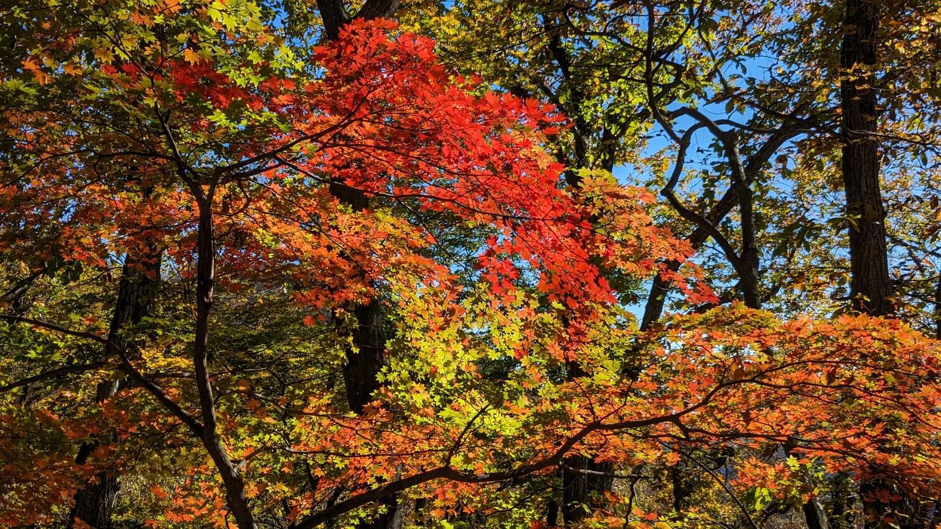 名郷バス停-鳥首峠-天神山-ウノタワ 往復コースの写真