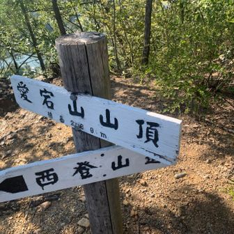 オニギリを準備していましたが、ご家族の団らんを邪魔したくなかったので、下山途中でランチとします🤔