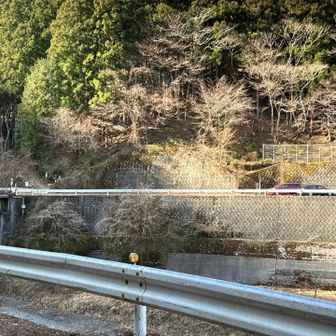 登山口近くの駐車場には2台のみ