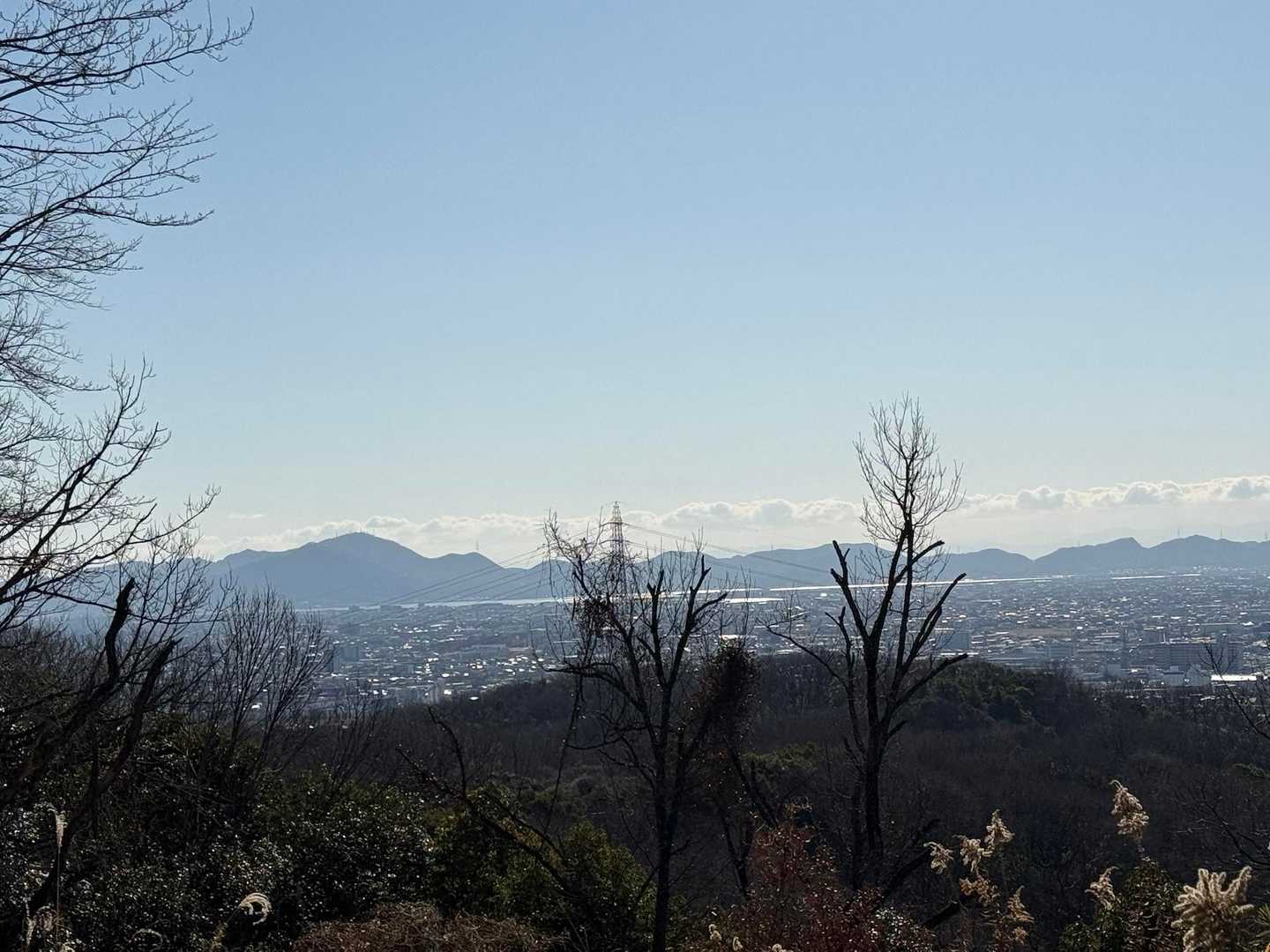 金甲山が見えてます